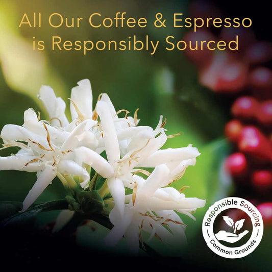 L'OR Espresso Intense Sampler
