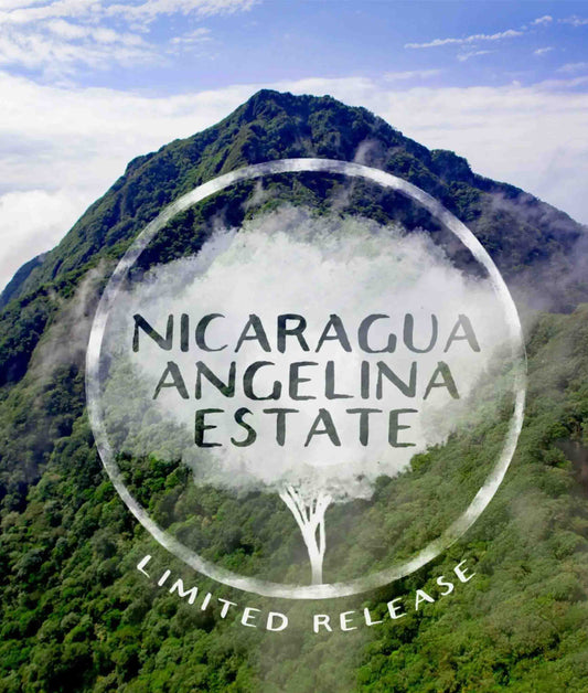Nicaragua Angelina Estate